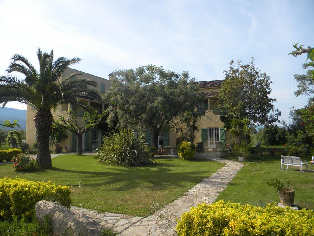 Auberge Les Oliviers Lucciana  Exterior foto